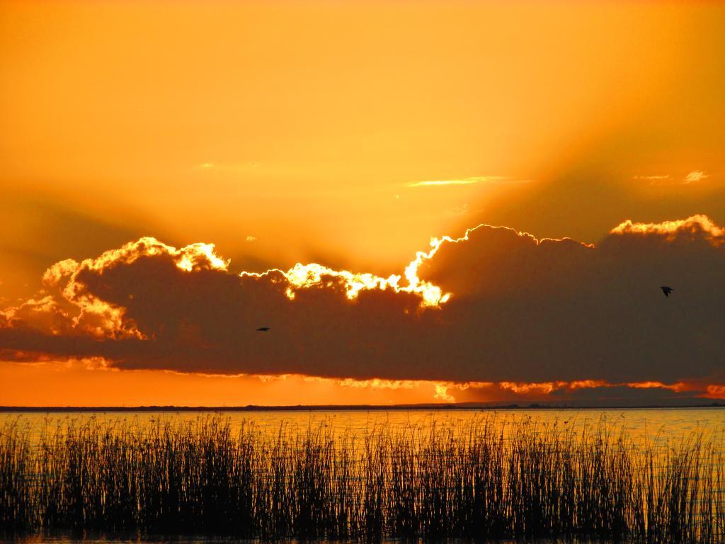 Lake Albert Caravan Park Hotel Meningie ภายนอก รูปภาพ